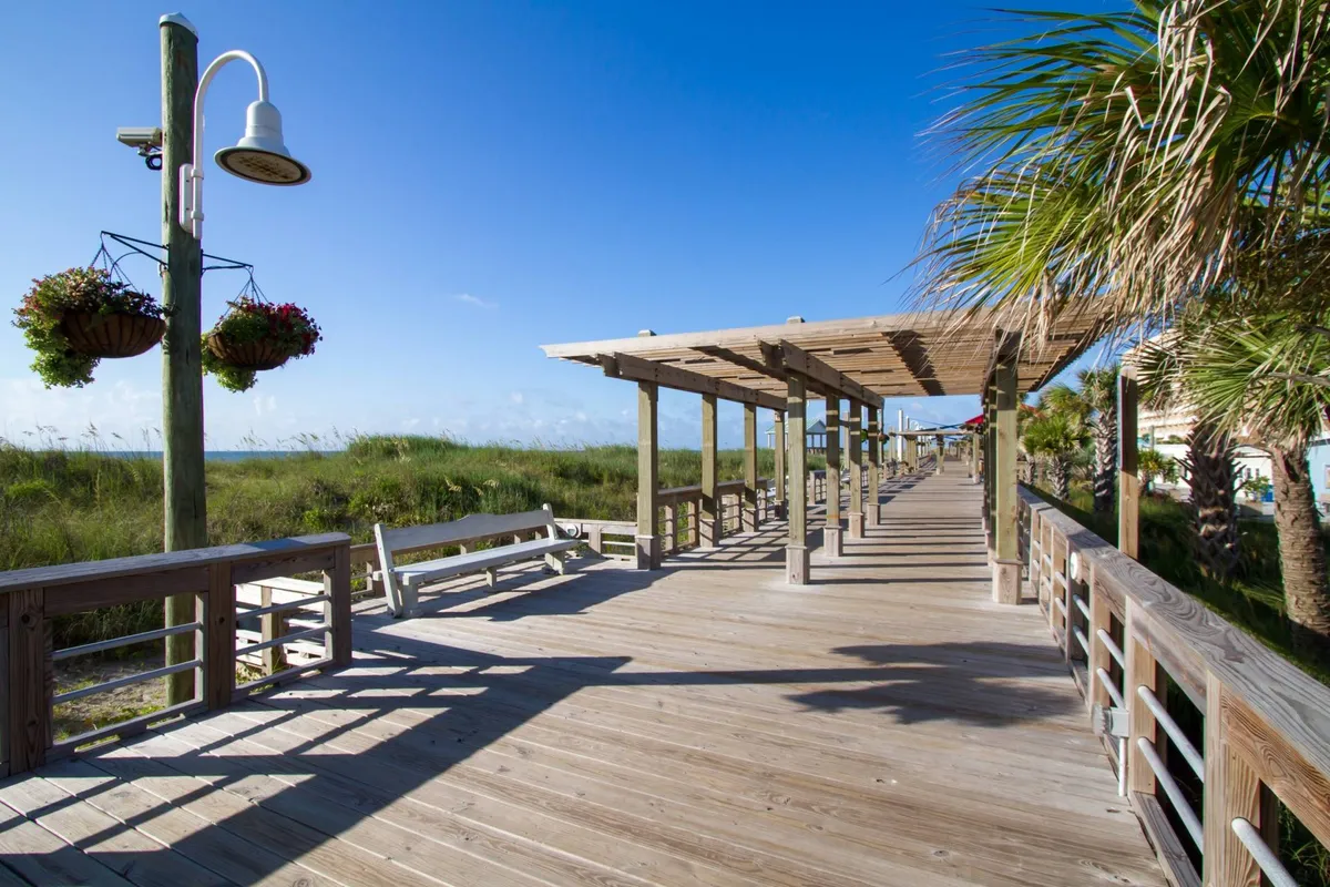 An inviting scene of a wooden boardwalk bordered by hanging flower baskets and palm trees, set under an open sky. The tranquil setting suggests leisurely strolls, community engagement, and access to green spaces—a perfect backdrop for discovering local parks or socializing with fellow pet owners.