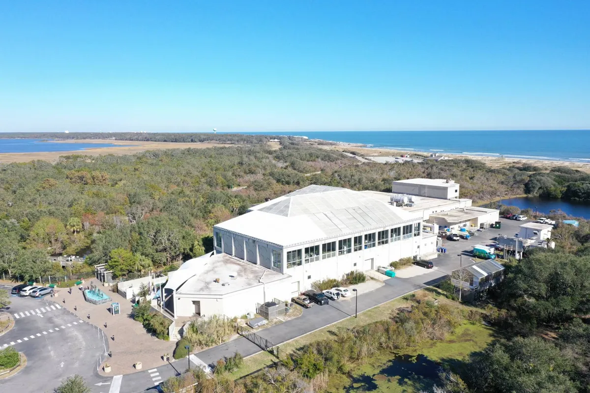 A large building overlooks the ocean, surrounded by greenery and a spacious parking area. The scene conveys a sense of community and provides visual context for group outings, nature walks, and shared experiences near the water.